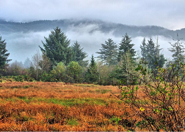 Wetlands Greeting Card featuring the photograph Wetlands In The Fall by Chriss Pagani