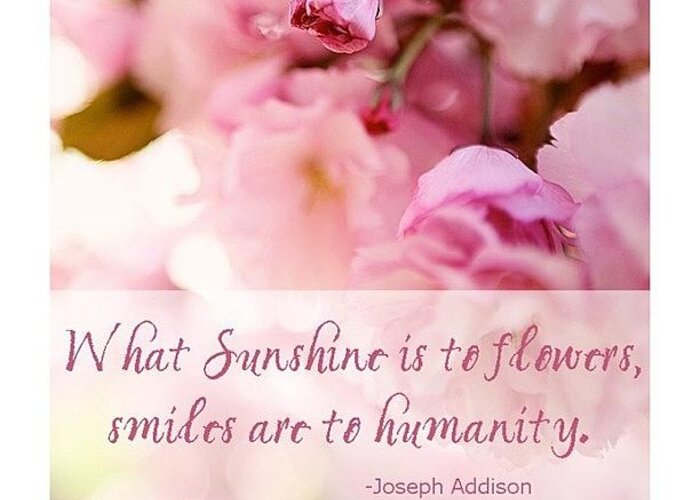 Smiles Greeting Card featuring the photograph What Sunshine Is To Flowers, Smiles Are by Cristi Bastian