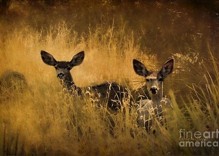 Deer Greeting Card featuring the photograph What'cha Lookin' At by Karen Slagle