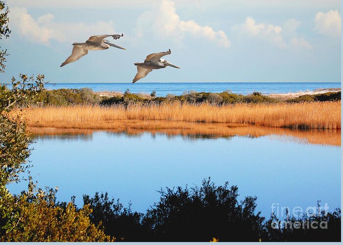 Pelicans Greeting Card featuring the photograph Where The Marsh Meets The Atlantic by Kathy Baccari