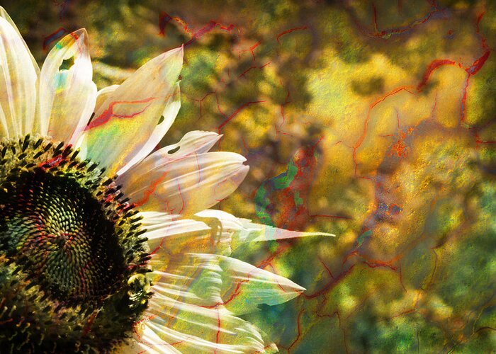 Sunflower Greeting Card featuring the photograph Whimsical Sunflower by Luke Moore