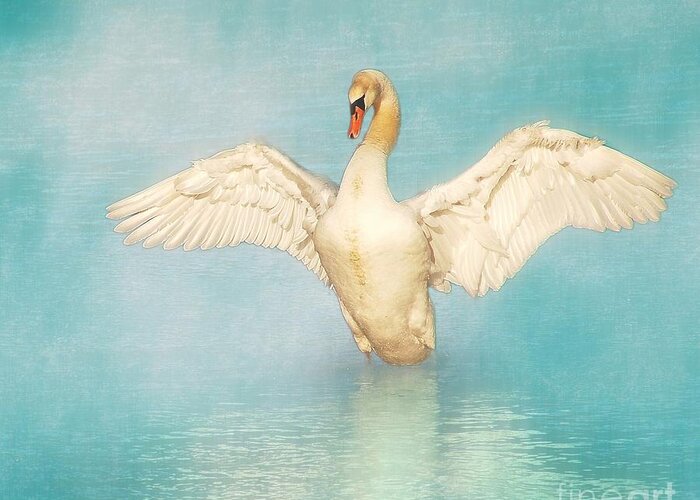 Swan Greeting Card featuring the photograph White Angel by Hannes Cmarits
