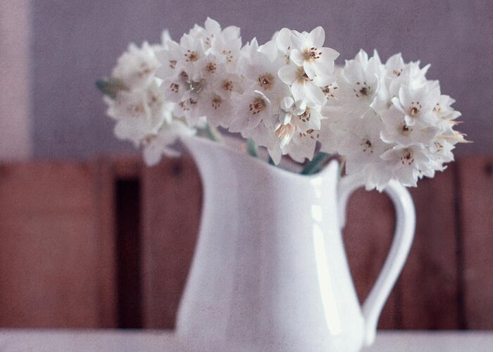 Fragility Greeting Card featuring the photograph White Flowers In White Pitcher by Copyright Anna Nemoy(xaomena)