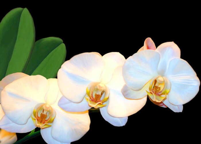 White Orchids Greeting Card featuring the mixed media White orchids by Anthony Seeker