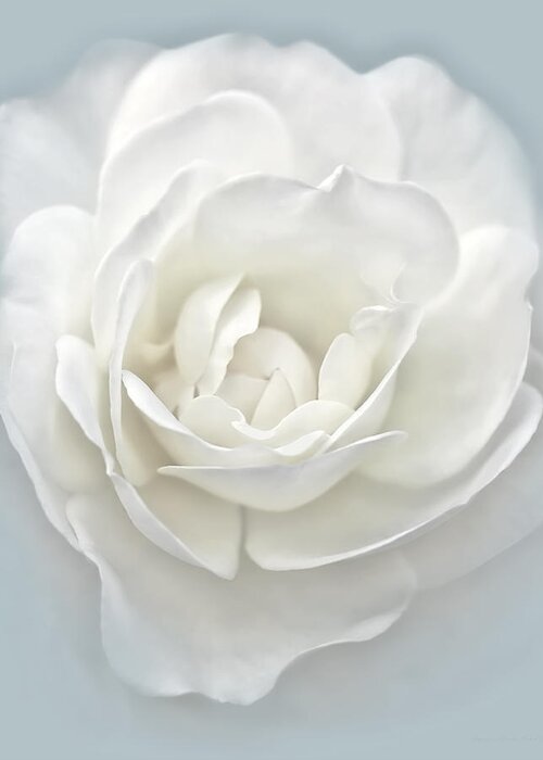 Rose Greeting Card featuring the photograph White Rose Flower Silver Blue by Jennie Marie Schell