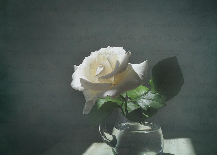 Rose Greeting Card featuring the photograph White Rose Still Life by Deborah Smith