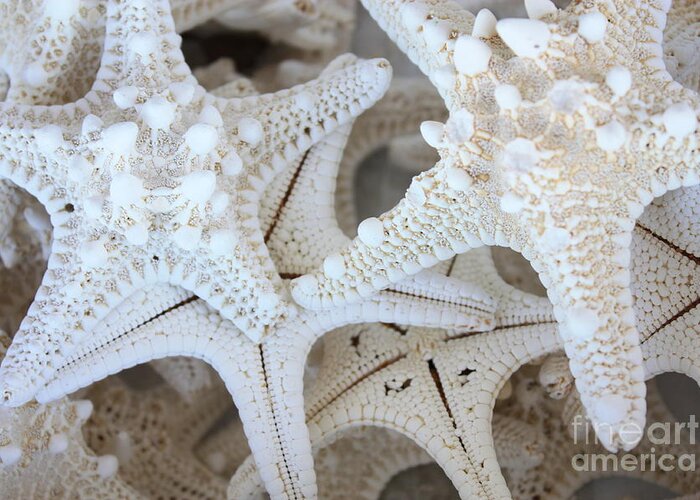 White Greeting Card featuring the photograph White Starfish by Carol Groenen