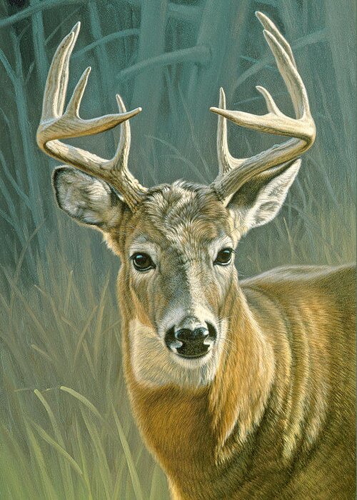 Wildlife Greeting Card featuring the painting Whitetail Buck by Paul Krapf
