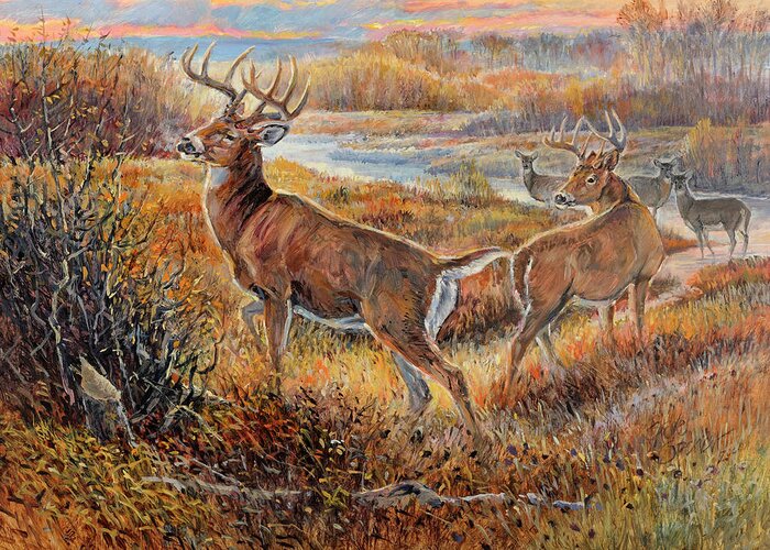 Whitetail Deer Greeting Card featuring the painting Whitetail Sunrise by Steve Spencer
