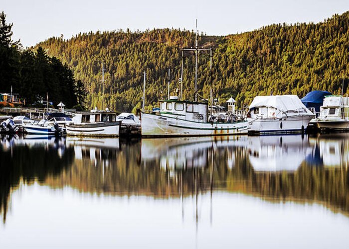 Egmont Greeting Card featuring the photograph Wilderness Fishing Boats by Tony Locke