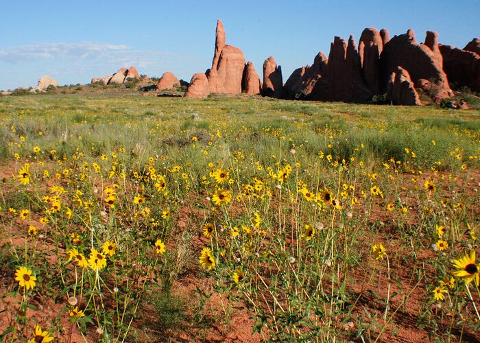 Arches National Park Greeting Card featuring the photograph Wildflowers by Jon Emery