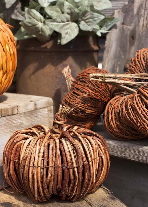 Autumn Greeting Card featuring the photograph Willow Pumpkins by Patrice Zinck