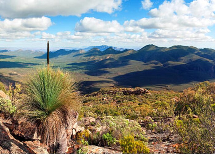 Wilpena Pound St Mary Peak Flinders Ranges South Australia Australian Landscape Landscapes Panorama Greeting Card featuring the photograph Wilpena Pound by Bill Robinson