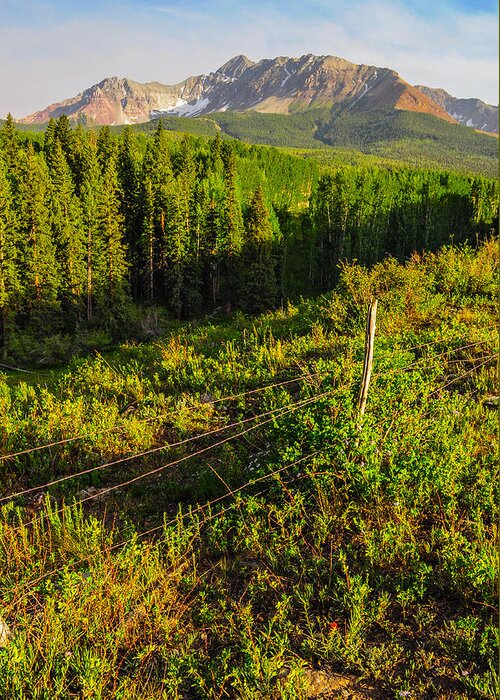 Wilson Greeting Card featuring the photograph Wilson Peak in Summer by Aaron Spong