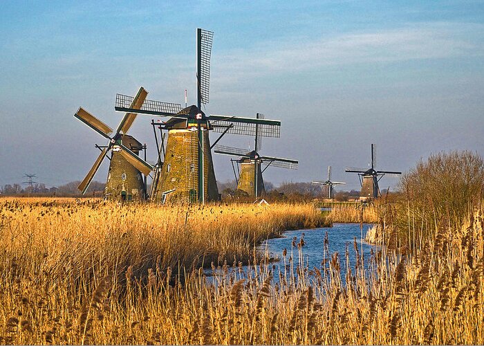 Netherlands Greeting Card featuring the photograph Windmills And Reeds Near Kinderdijk by Frans Blok