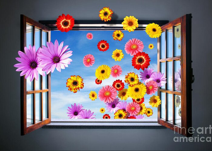 Abstract Greeting Card featuring the photograph Window of Flowers by Carlos Caetano