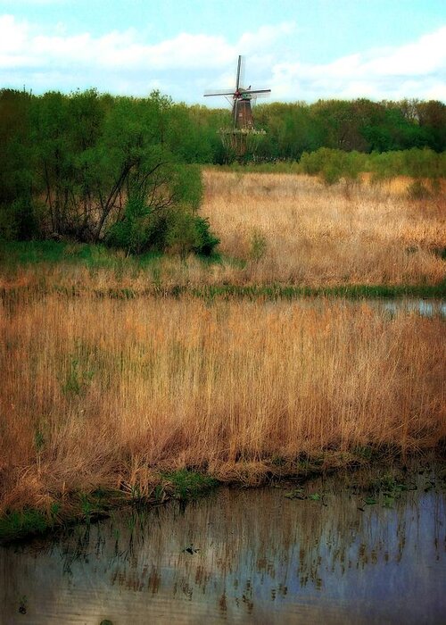 Windmill Island Greeting Card featuring the photograph Window on the Waterfront DeZwaan Windmill by Michelle Calkins