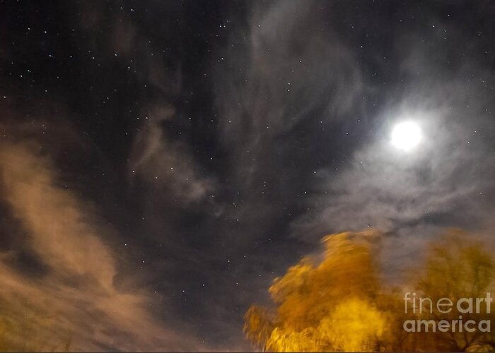 Desert Moon Greeting Card featuring the photograph Windy NighT by Angela J Wright