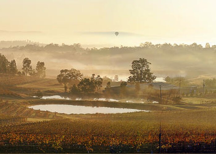 Hunter Valley Greeting Card featuring the photograph Wine Country by Rick Drent