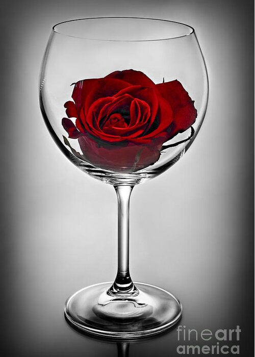 Wine Glass Greeting Card featuring the photograph Wine glass with rose by Elena Elisseeva