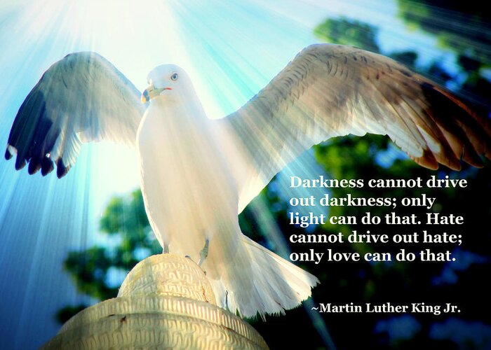 Wings Of Freedom Greeting Card featuring the photograph Wings Of Freedom Illuminated with Martin Luther King Jr. Quote II by Aurelio Zucco