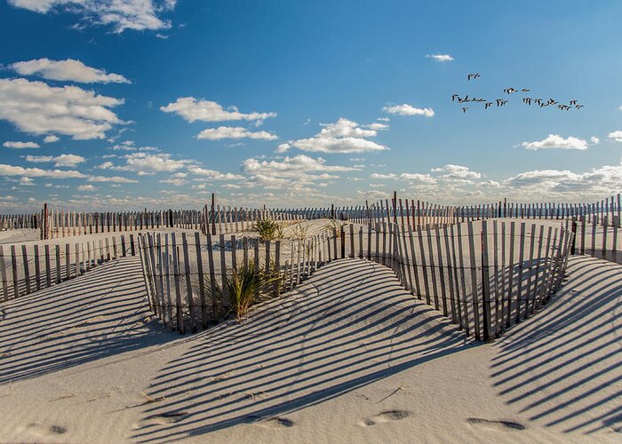 Beach Greeting Card featuring the photograph Winter Beach 9528 by Cathy Kovarik