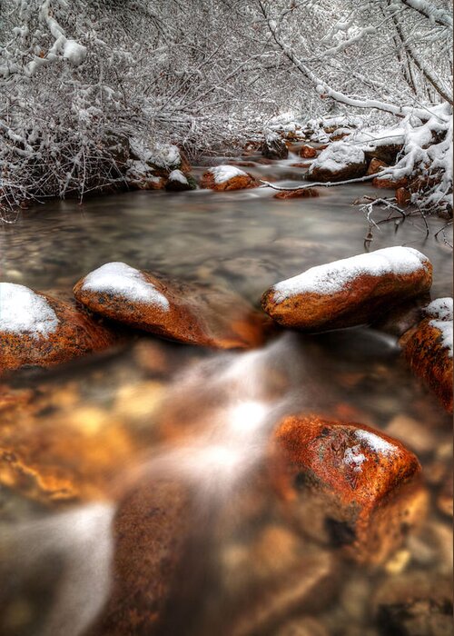 Winter Greeting Card featuring the photograph Winter Creek by David Andersen