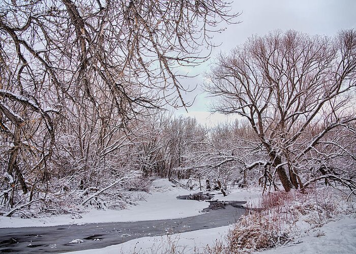Winter Greeting Card featuring the photograph Winter Creek by James BO Insogna