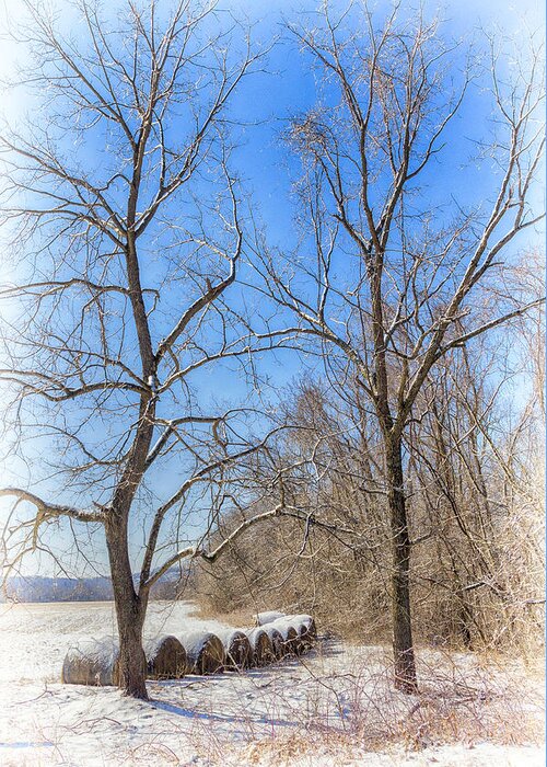 Snow Greeting Card featuring the photograph Winter Field by Alan Raasch