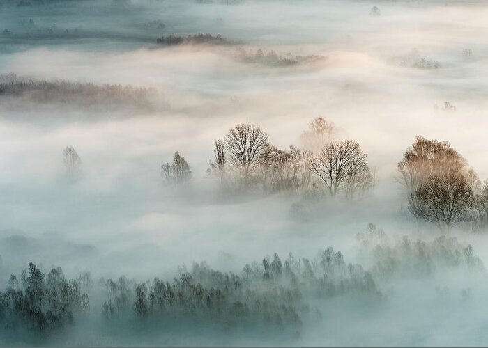 Fog Greeting Card featuring the photograph Winter Fog by Marco Galimberti