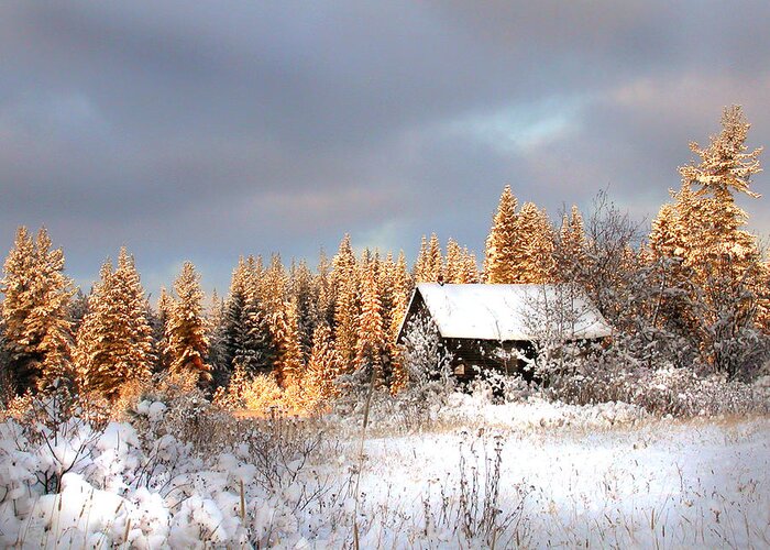 Shack Greeting Card featuring the photograph Winter Glow by Doug Fredericks