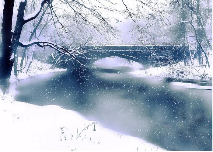 Winter Greeting Card featuring the photograph Winter Haiku by Jessica Jenney