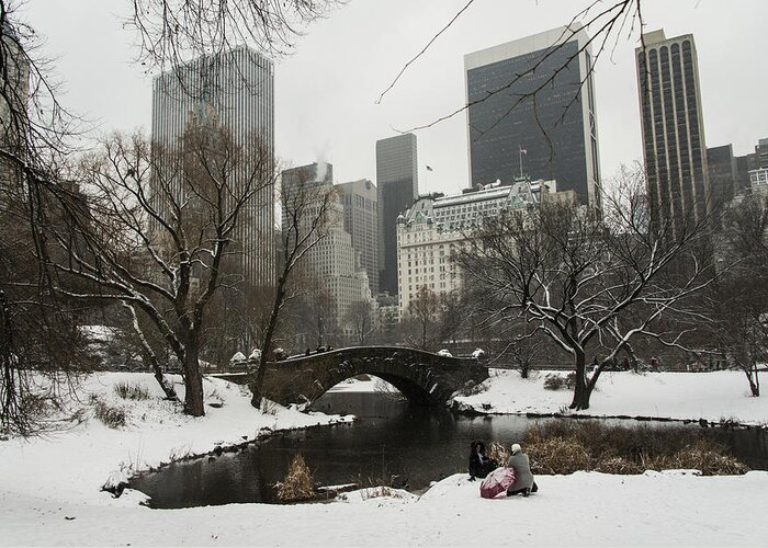2013 Greeting Card featuring the photograph Winter in Central Park by Theodore Jones