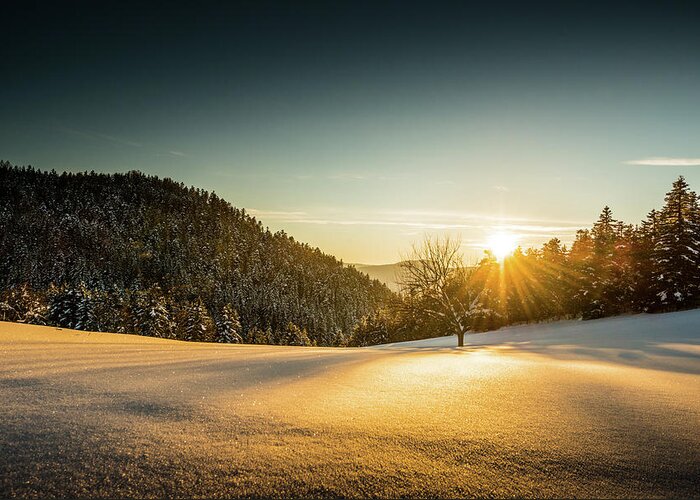 Scenics Greeting Card featuring the photograph Winter Landscape At Sunset by Mmac72