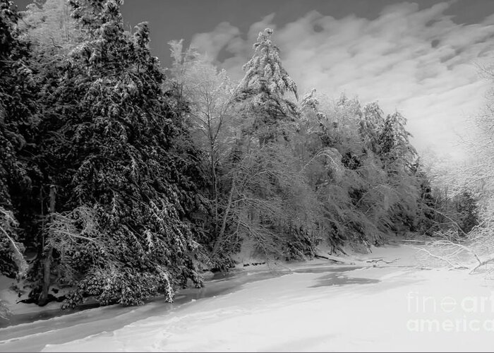 Maine Greeting Card featuring the photograph Winter Living in Maine by Brenda Giasson