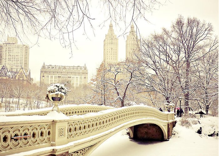 Nyc Greeting Card featuring the photograph Winter - New York City - Central Park by Vivienne Gucwa
