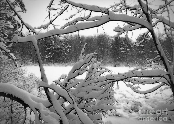 Winter Greeting Card featuring the photograph Winter Pond by Kathi Mirto