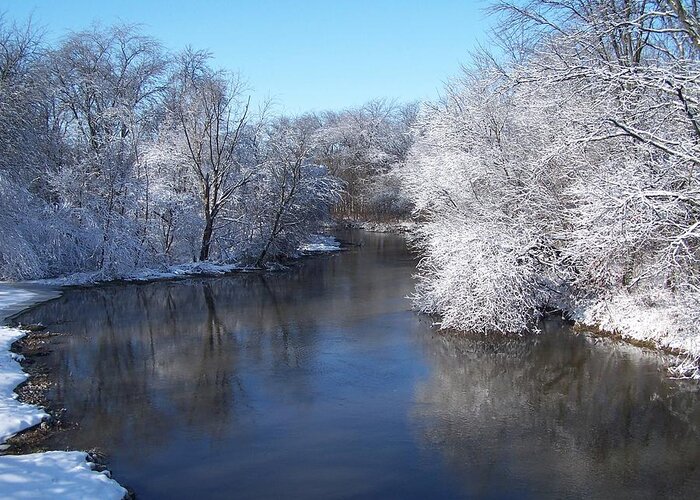 Winter Greeting Card featuring the photograph Winter Reflections by Forest Floor Photography