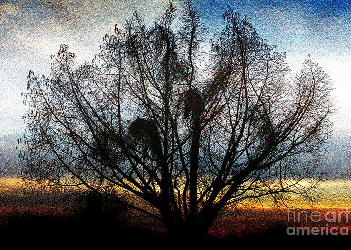 Tree Greeting Card featuring the photograph Winter Revelations by Ola Allen