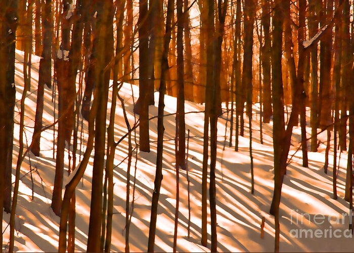 Sunset Greeting Card featuring the photograph Winter Shadows by Andrea Kollo