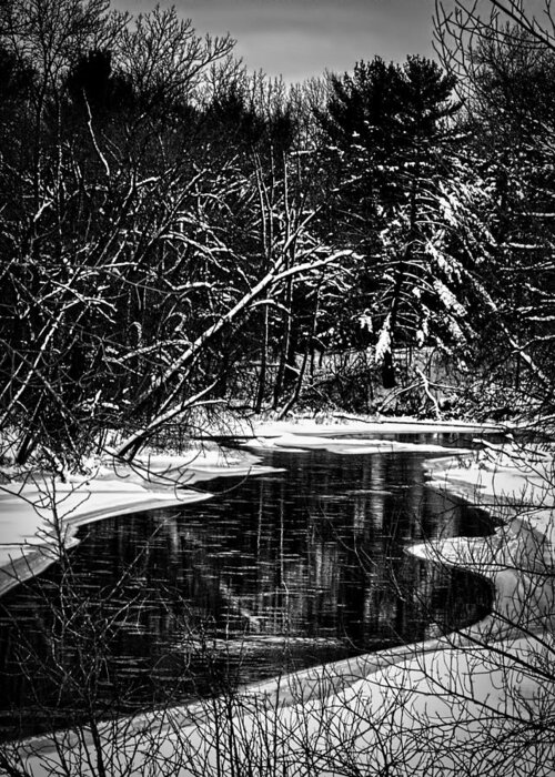Winter Setting Greeting Card featuring the photograph Winter Solitude by Thomas Young