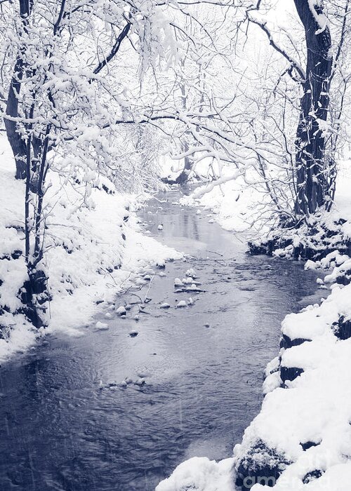 Stream Greeting Card featuring the photograph Winter stream by Liz Leyden