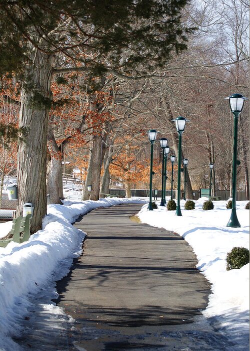 Park Greeting Card featuring the photograph Winter Stroll by Margie Avellino