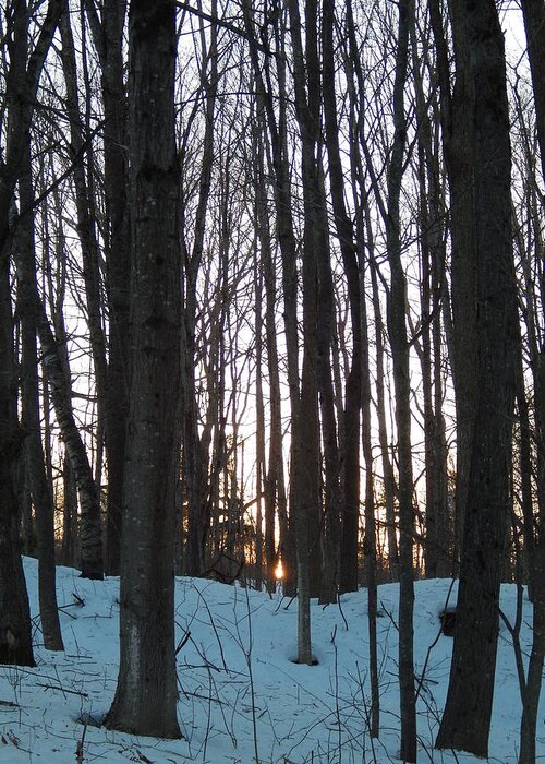 Winter Sun Sets In The Maine Woods Greeting Card featuring the photograph Winter sun sets in the Maine woods by Priscilla Batzell Expressionist Art Studio Gallery