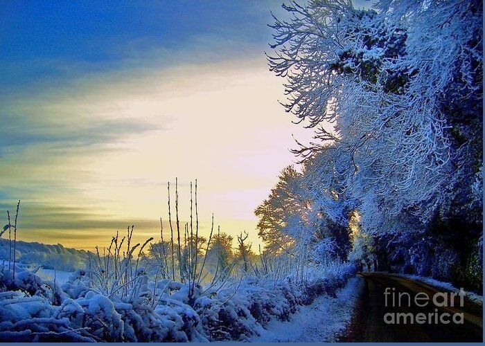 Winter Greeting Card featuring the photograph Winter Sunburst by Nina Ficur Feenan
