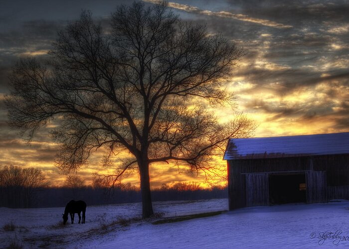 Winter Greeting Card featuring the photograph Winter Sunset by Skip Tribby