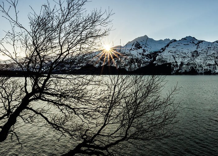 Chilkat Inlet Greeting Card featuring the photograph Winter Sunset Sunburst by Michele Cornelius
