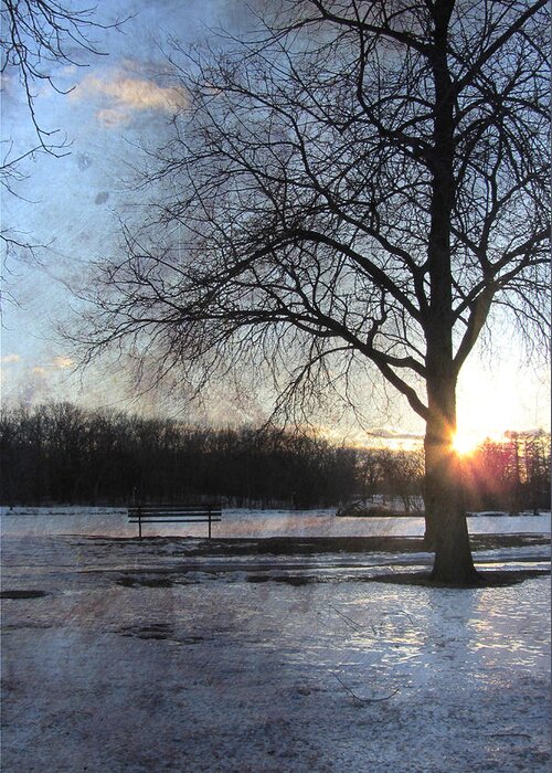 Winter Greeting Card featuring the digital art Winter Tree Sunset by Anita Burgermeister