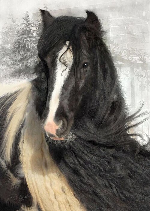 Gypsy Horses Greeting Card featuring the photograph Winter Woolies by Fran J Scott