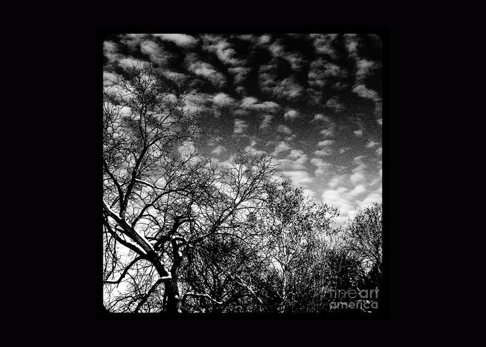  Illinois Greeting Card featuring the photograph Winterfold - Monochrome by Frank J Casella